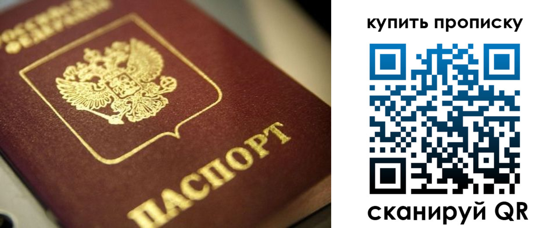 прописка поиск в Щиграх